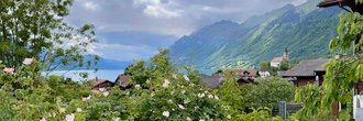 kirchebrienz-pano
